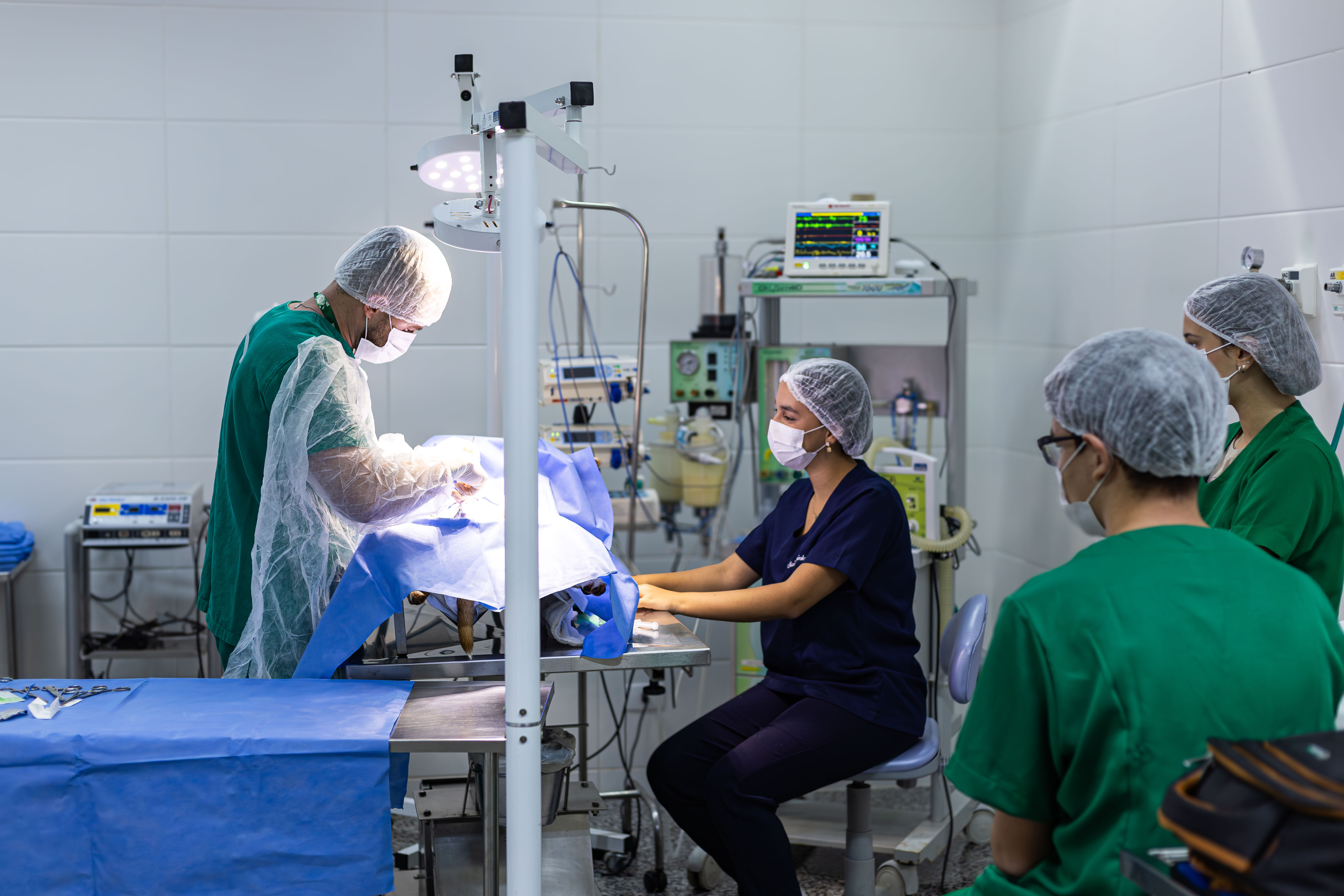 Serviços oferecidos